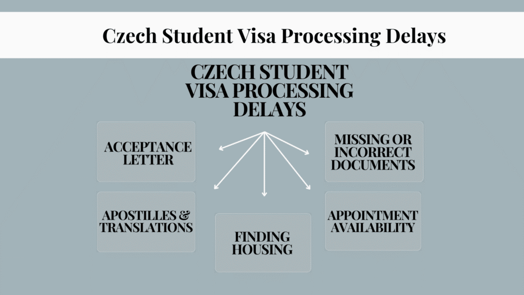 Graphic showing core causes of czech student visa processing delays