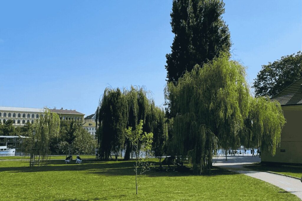 Willow trees and open green space at Park Cihelná along the river in Prague