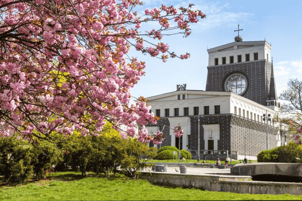 Tree-lined street and historic church in the Vinohrady neighborhood of Prague.